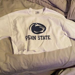 cropped penn state hoodie